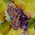 A Bunch of Grapes