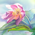 La Fleur Rose